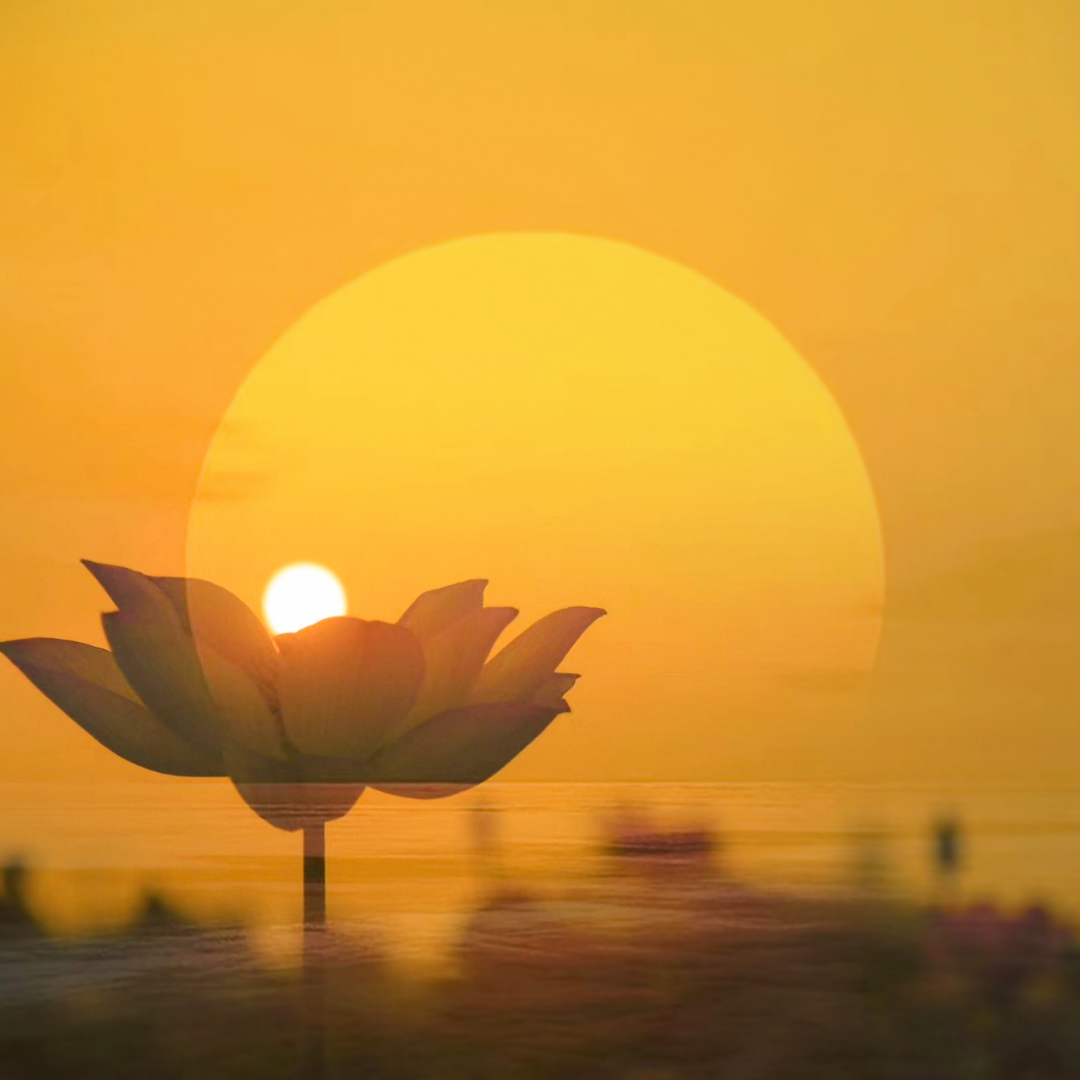 Les Éclats d'Âme de Swami Atmarupananda
