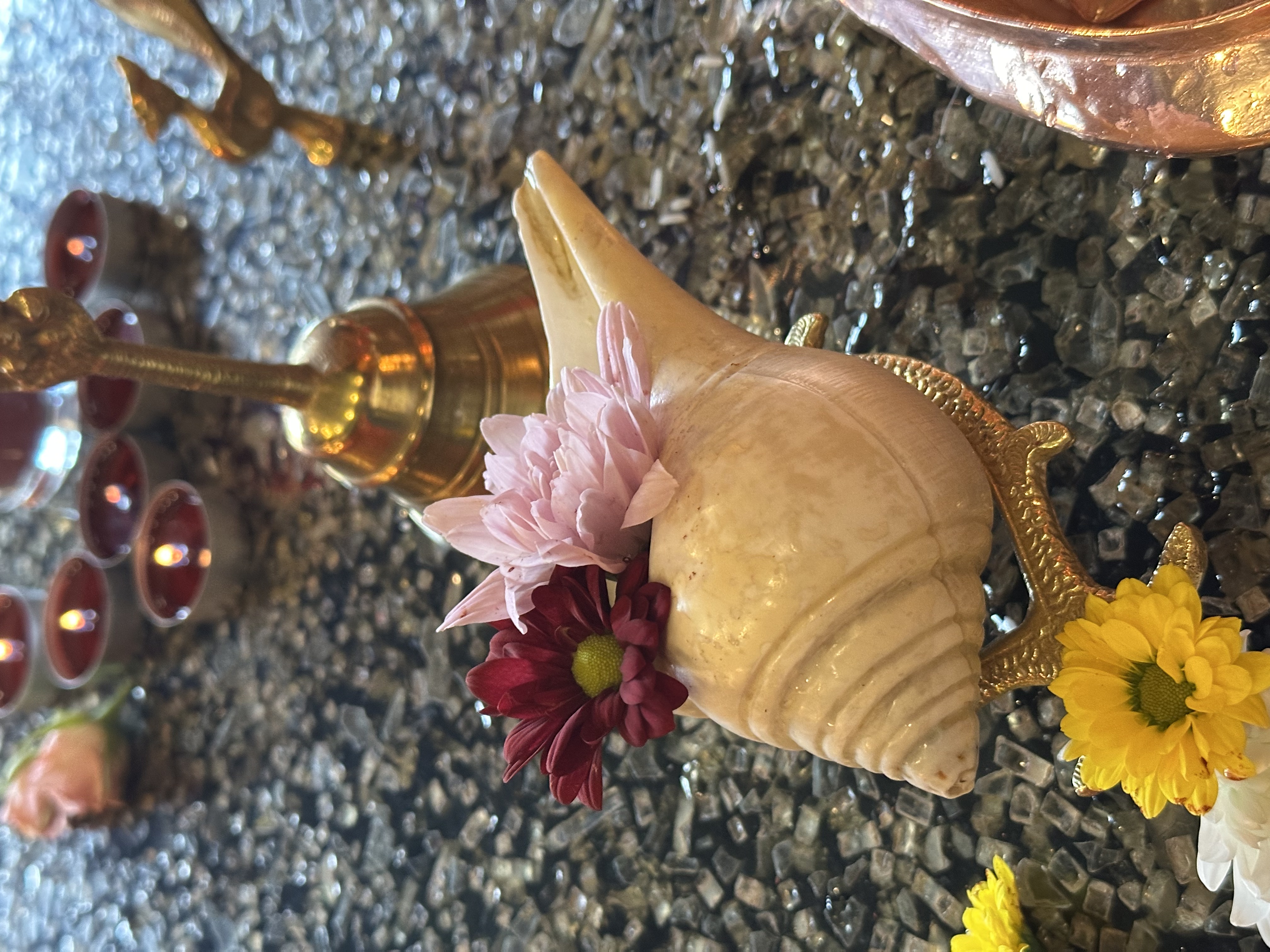 Puja 4