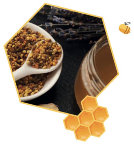 Formation à l’apiculture personnelle