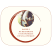 Institut de Recherche et de Pratique de Yoga Védique : Cursus 2025-26