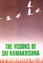 the-visions-of-ramakrishna.jpg
